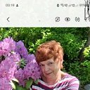 ���� 2025 �� ������� �߻