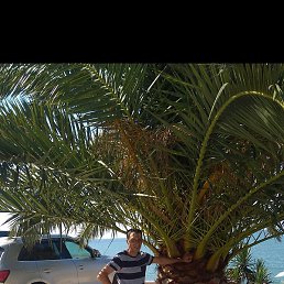 ������, ������� ��������, 40 ���