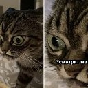 ���� ����, ������� - ��������� 3 ������ 2026 � ������ ������ ��������