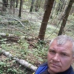 ��������, ��������, 47 ���