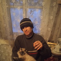 ������, �����, 43 ����