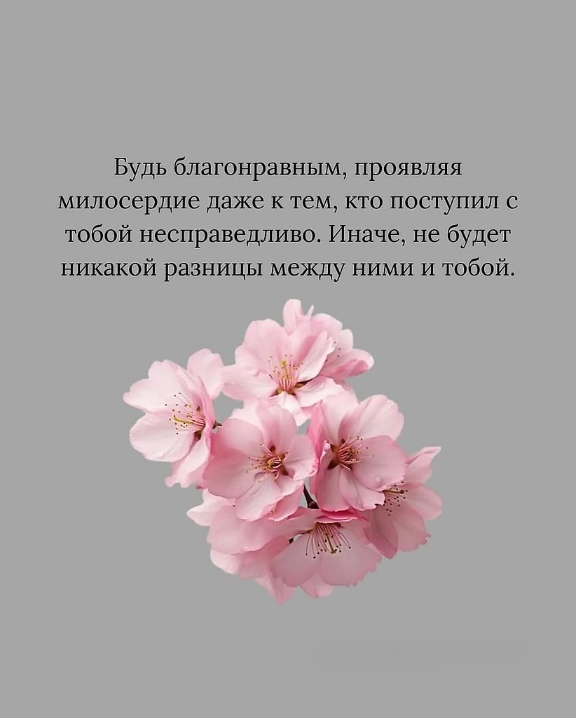 Быть хорошим человеком — это выбор, а не реакция - 2