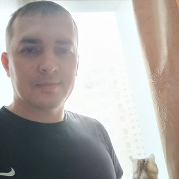 �������, ���������, 37 ���