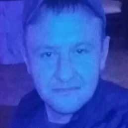 ������, ����, 41 ���