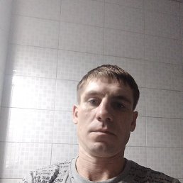 �������, ������, 37 ���