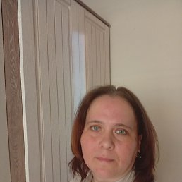 ������, 41 ���, ������