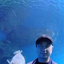 ���� �����, ������, 45 ��� - ��������� 17 ������� 2025 � ������ ���� ����������