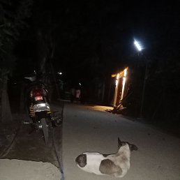 ���� John, ������, 18 ��� - ��������� 23 ���� 2026