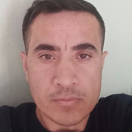 Bohodir, �����, 40 ���