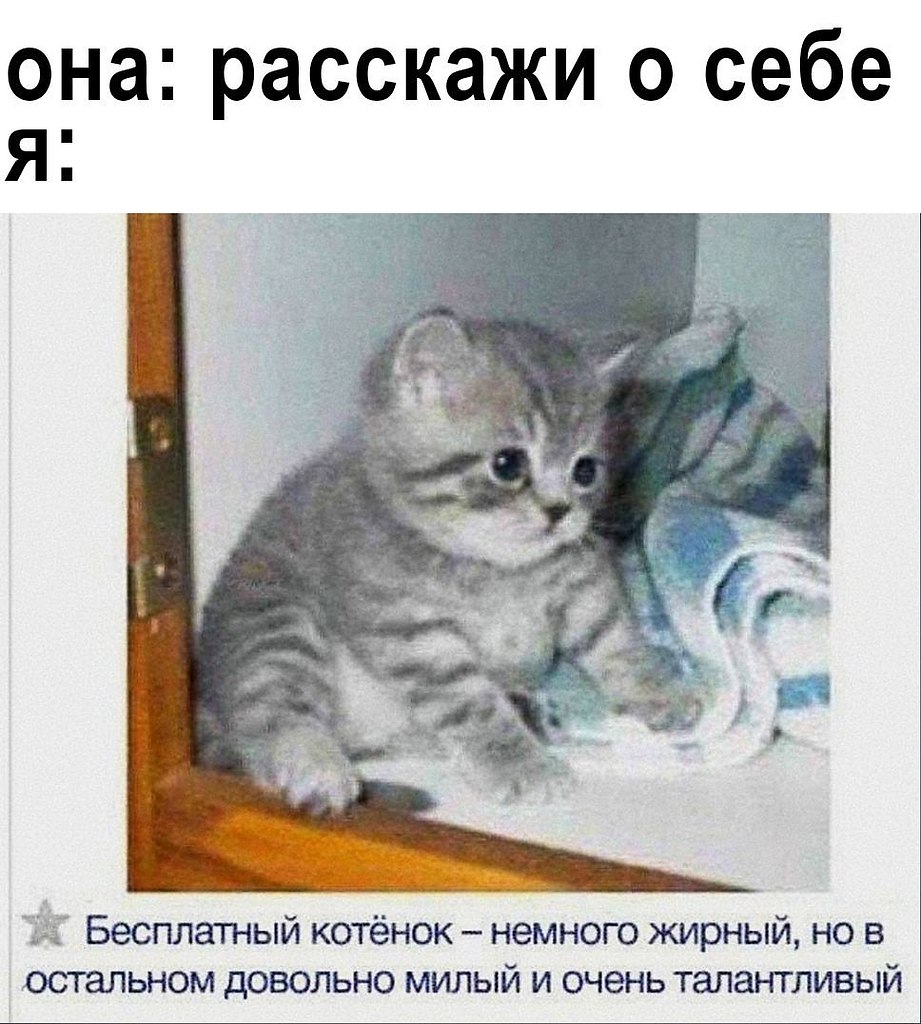    - 24  2024  14:35