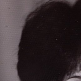 �����, ������, 55 ���