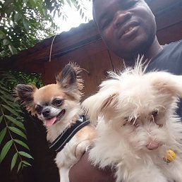 Bisa, �����������, 34 ����