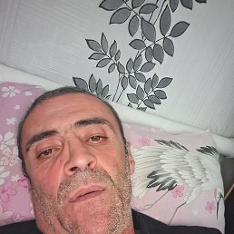 , 52, 