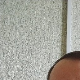 �����, ������, 43 ����