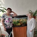 ���� �����, �������-���������, 73 ���� - ��������� 29 ������ 2024 � ������ ���� ����������
