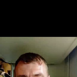 , 41, 