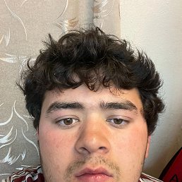 , 29, 