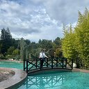 ���� �������, ���������� - ��������� 13 ������� 2025 � ������ ���� ����������
