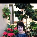 ���� �������, ������, 66 ��� - ��������� 2 ������ 2024 � ������ ���� ����������