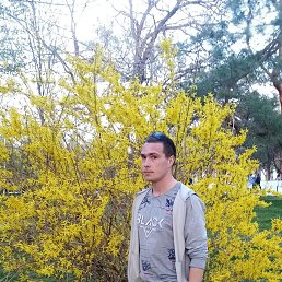 , 35 , 