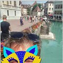 ���� ������, ��������, 53 ���� - ��������� 8 ������ 2026