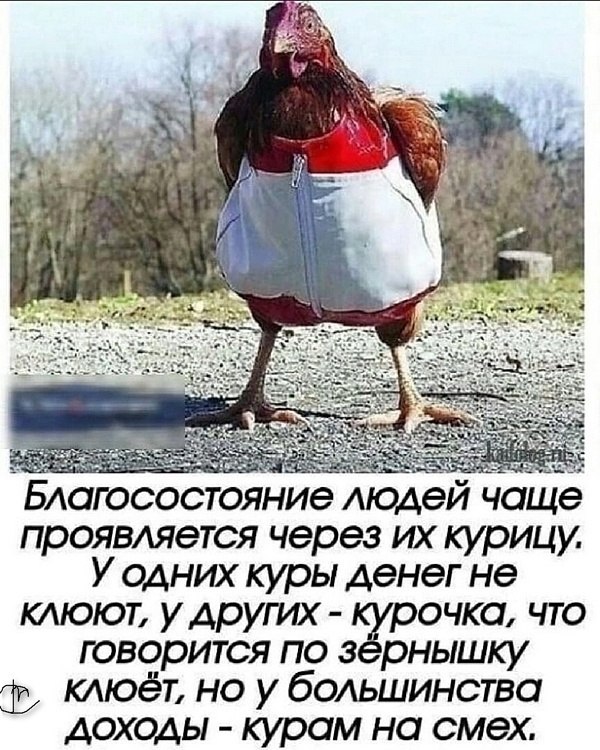 ������ ��������� - 30 ������ 2026 � 21:04