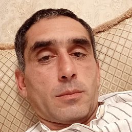 �����, ������, 41 ���