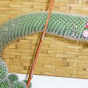  Zhorik, -, 34  -  9  2024