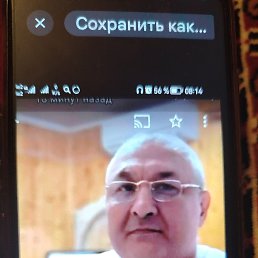, 61, 
