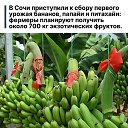 ���� ����, ����������� - ��������� 2 �������� 2026 � ������ ������ ��������