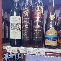 ������, ����, 41 ���