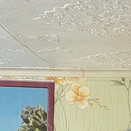 �������, ���������, 48 ���