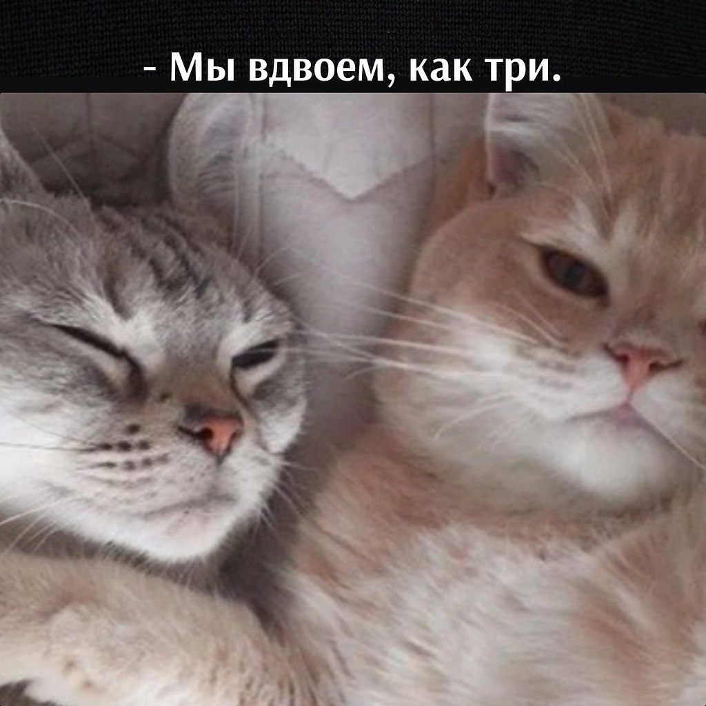       - 6  2025  21:30 - 4