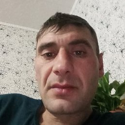 �����, ������, 41 ���