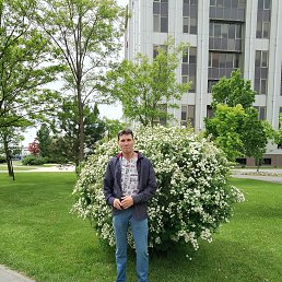 , 53, 