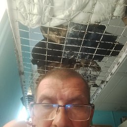 , 55, 