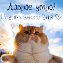 ���� �������, ������, 58 ��� - ��������� 29 ������ 2024 � ������ ���� ����������