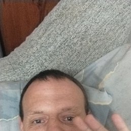 , 41, 