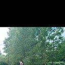 ���� Ko�e�ka, �����-���������, 33 ���� - ��������� 10 ����� 2026