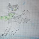 ���� Bim The Husky, Miami, 25 ��� - ��������� 15 �������� 2024 � ������ ������ ��������