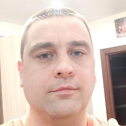 ������, �������, 41 ���