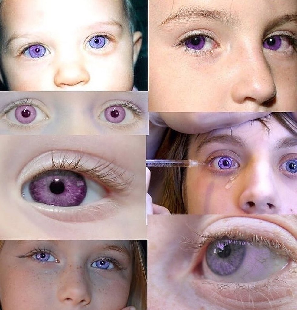 � �� ��a��, ��o �e���e 1% ���e� �e��� ��e�� ��o�e�o��� ��e� ��a�? ����� �������