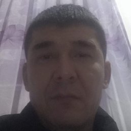 �����, �������, 46 ���