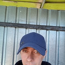 ���� ������., �����, 42 ���� - ��������� 15 ������ 2026