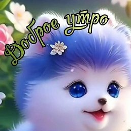 ��������, ������, 66 ���