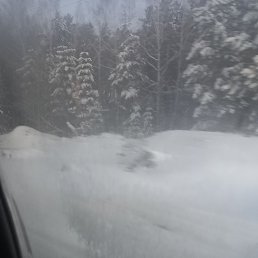 �����, ������������, 36 ���