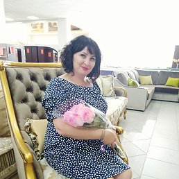 �����, ������, 41 ���