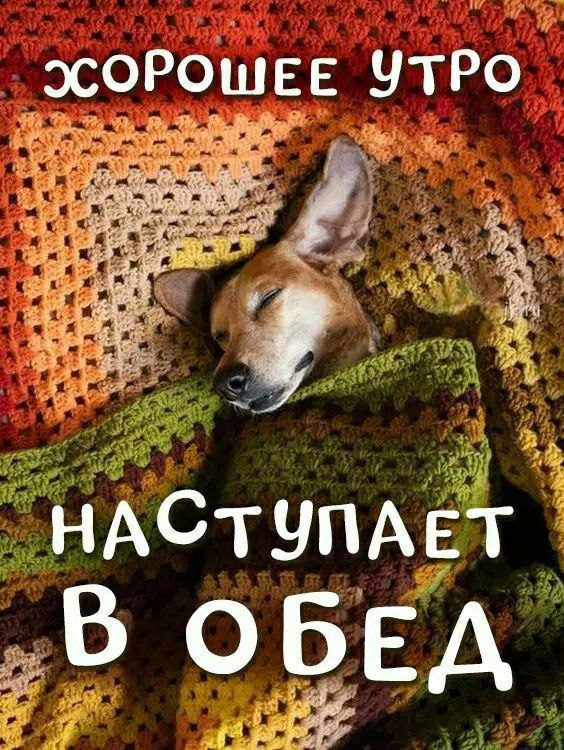 ������ - 14 ������� 2025 � 14:05