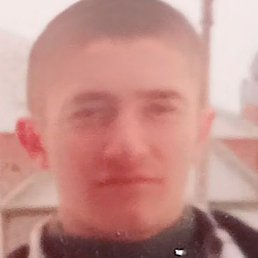 �����, �������, 37 ���