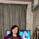 ���� ��������, �������� - ��������� 12 ������ 2026 � ������ ���� ����������